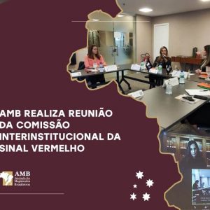 Comissão Interinstitucional reúne-se para traçar estratégias da Sinal Vermelho