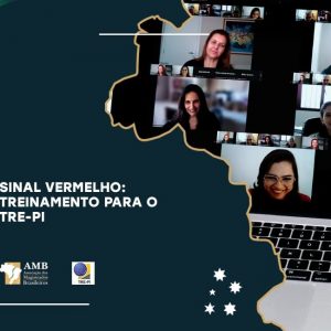 AMB Mulheres realiza treinamento da Sinal Vermelho para o TRE-PI